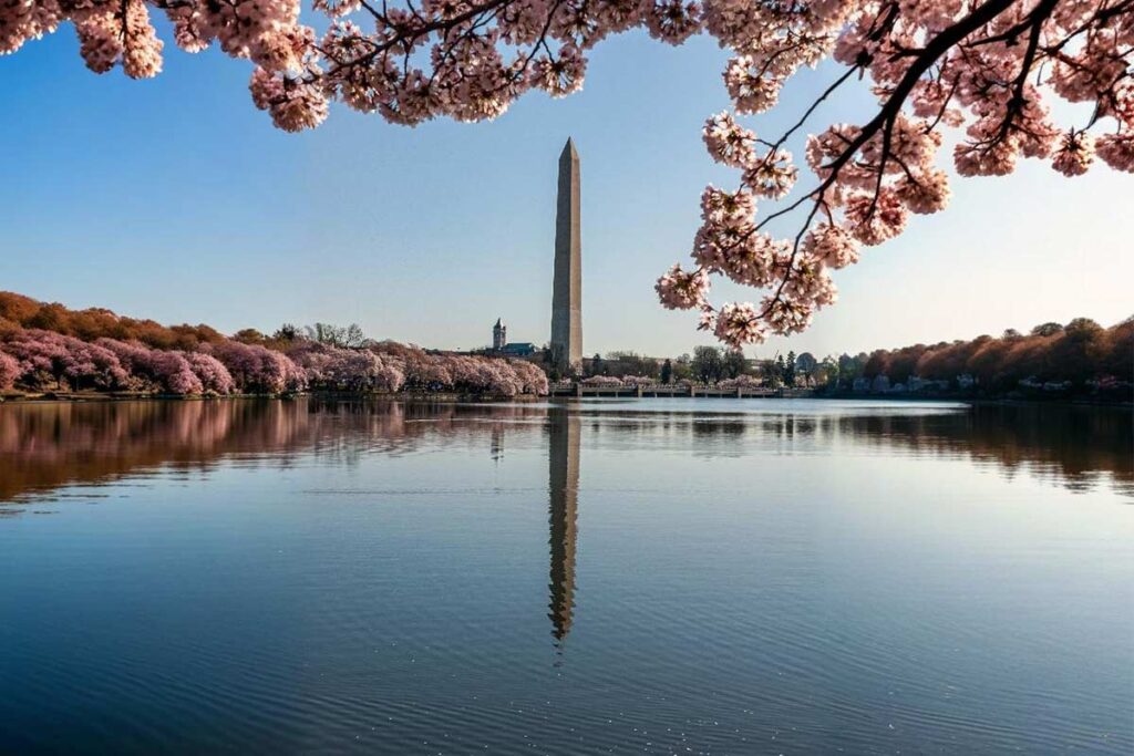 10 Must-Visit Places in DC Your Ultimate Travel Guide