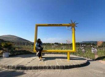 Sula Vineyards